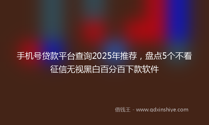 手机号贷款平台查询2025年推荐，盘点5个不看征信无视黑白百分百下款软件