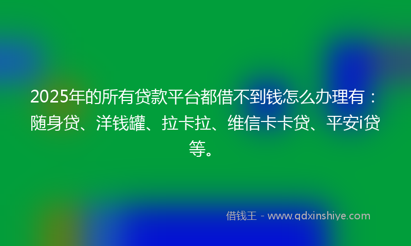 2025年的所有贷款平台都借不到钱怎么办理有：随身贷、洋钱罐、拉卡拉、维信卡卡贷、平安i贷等。