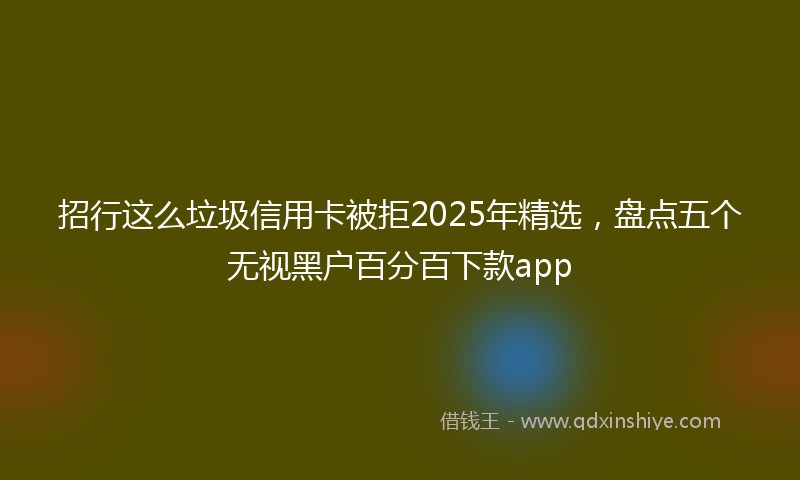 招行这么垃圾信用卡被拒2025年精选，盘点五个无视黑户百分百下款app