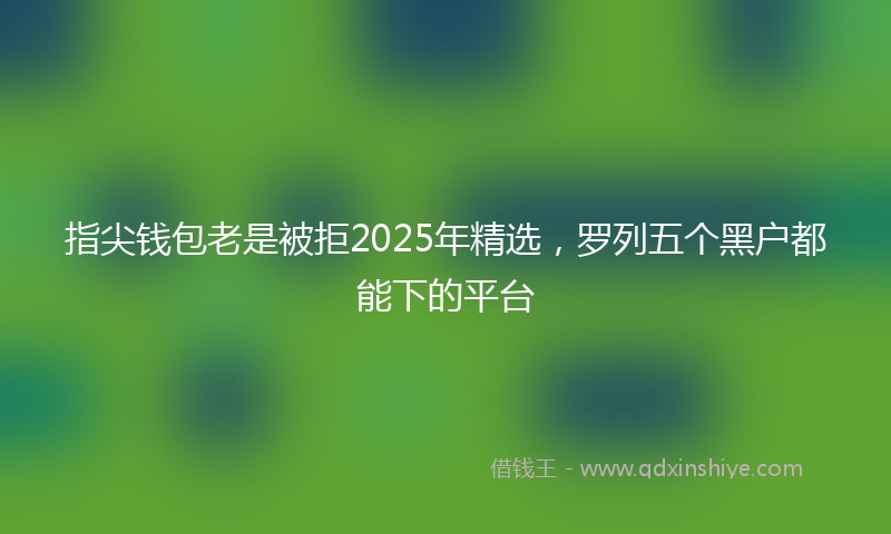指尖钱包老是被拒2025年精选，罗列五个黑户都能下的平台