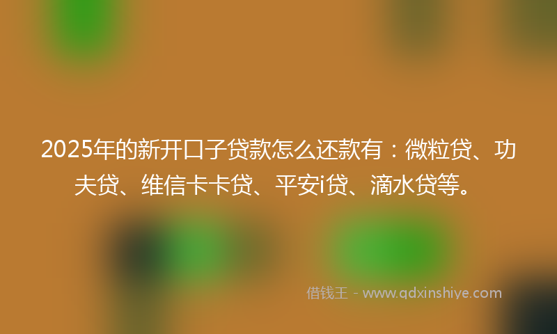 2025年的新开口子贷款怎么还款有：微粒贷、功夫贷、维信卡卡贷、平安i贷、滴水贷等。