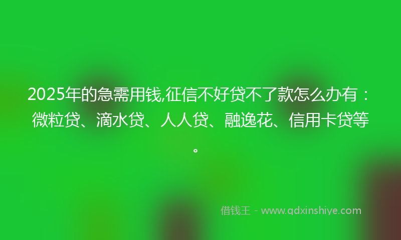 2025年的急需用钱,征信不好贷不了款怎么办有：微粒贷、滴水贷、人人贷、融逸花、信用卡贷等。