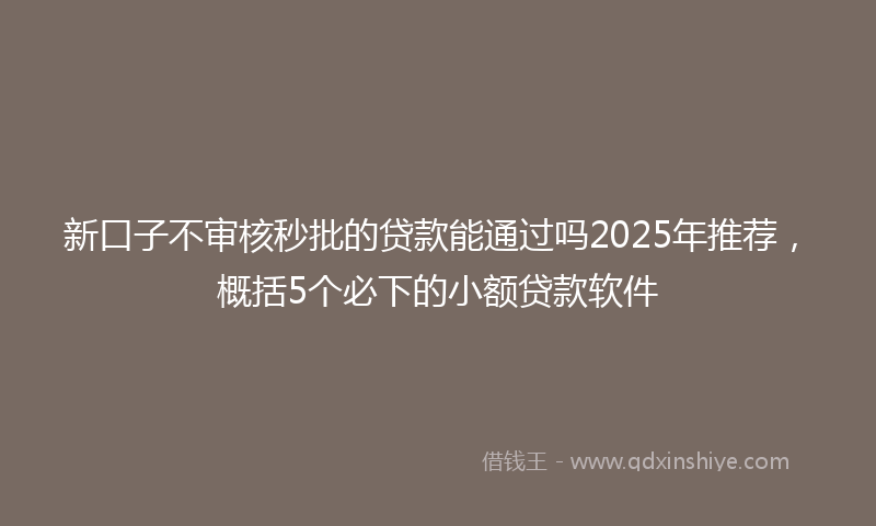 新口子不审核秒批的贷款能通过吗2025年推荐，概括5个必下的小额贷款软件