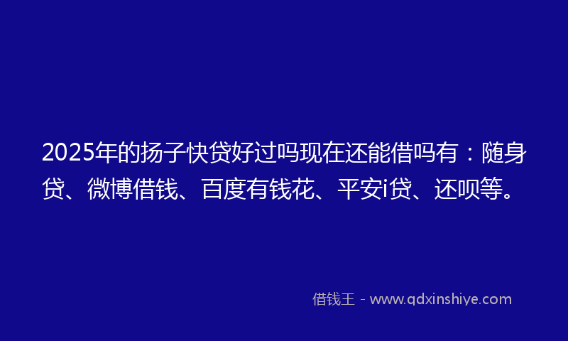 2025年的扬子快贷好过吗现在还能借吗有：随身贷、微博借钱、百度有钱花、平安i贷、还呗等。
