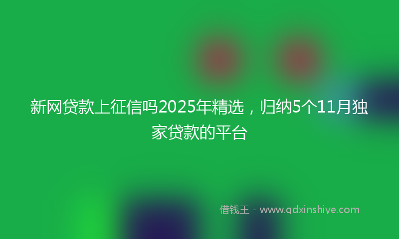 新网贷款上征信吗2025年精选，归纳5个11月独家贷款的平台