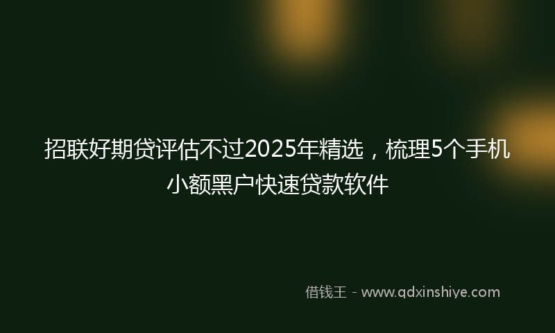 招联好期贷评估不过2025年精选，梳理5个手机小额黑户快速贷款软件