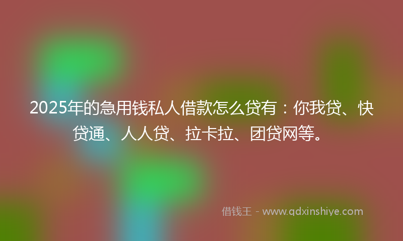 2025年的急用钱私人借款怎么贷有：你我贷、快贷通、人人贷、拉卡拉、团贷网等。