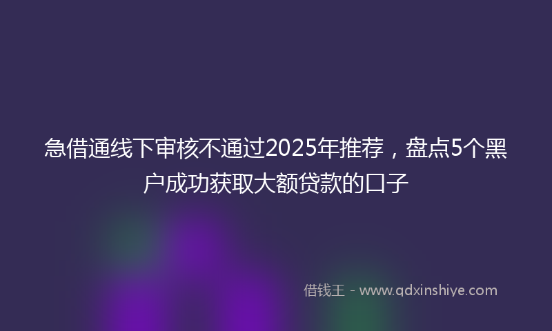 急借通线下审核不通过2025年推荐，盘点5个黑户成功获取大额贷款的口子