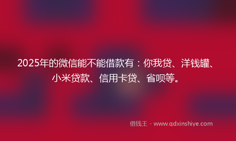 2025年的微信能不能借款有：你我贷、洋钱罐、小米贷款、信用卡贷、省呗等。