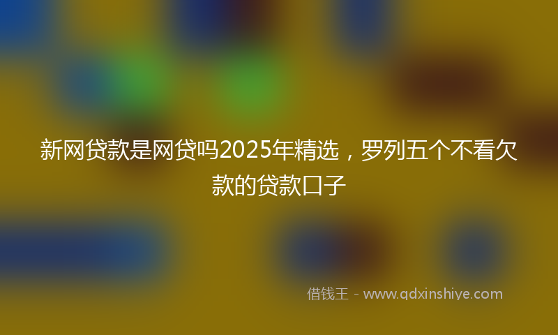 新网贷款是网贷吗2025年精选，罗列五个不看欠款的贷款口子