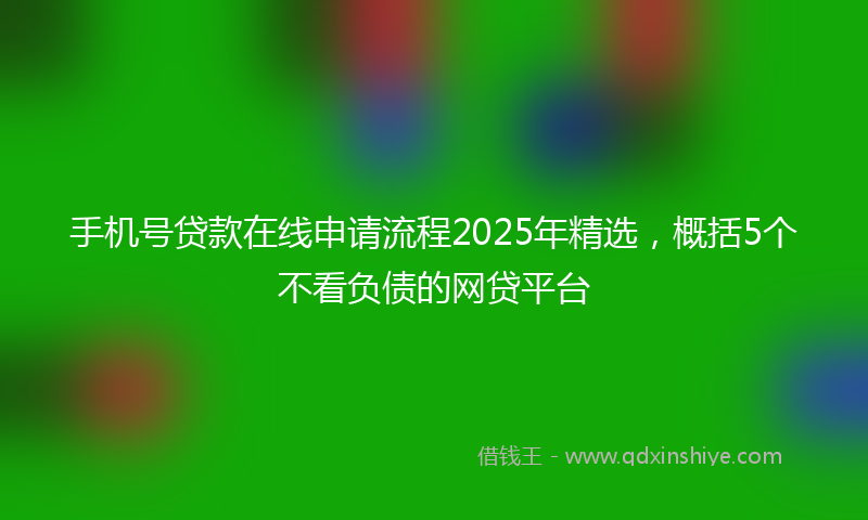 手机号贷款在线申请流程2025年精选，概括5个不看负债的网贷平台
