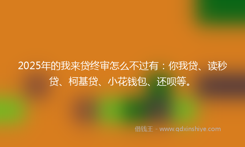 2025年的我来贷终审怎么不过有：你我贷、读秒贷、柯基贷、小花钱包、还呗等。