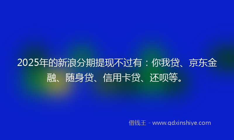 2025年的新浪分期提现不过有：你我贷、京东金融、随身贷、信用卡贷、还呗等。