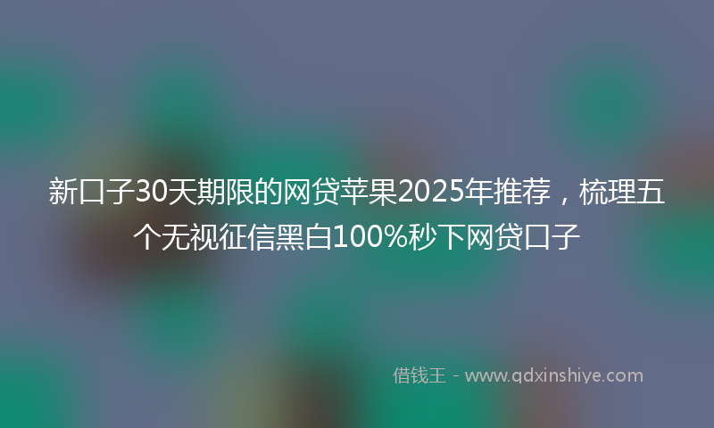 新口子30天期限的网贷苹果2025年推荐，梳理五个无视征信黑白100%秒下网贷口子