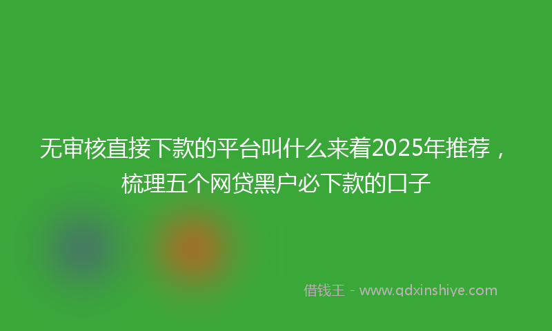 无审核直接下款的平台叫什么来着2025年推荐，梳理五个网贷黑户必下款的口子