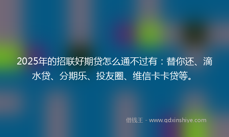 2025年的招联好期贷怎么通不过有：替你还、滴水贷、分期乐、投友圈、维信卡卡贷等。