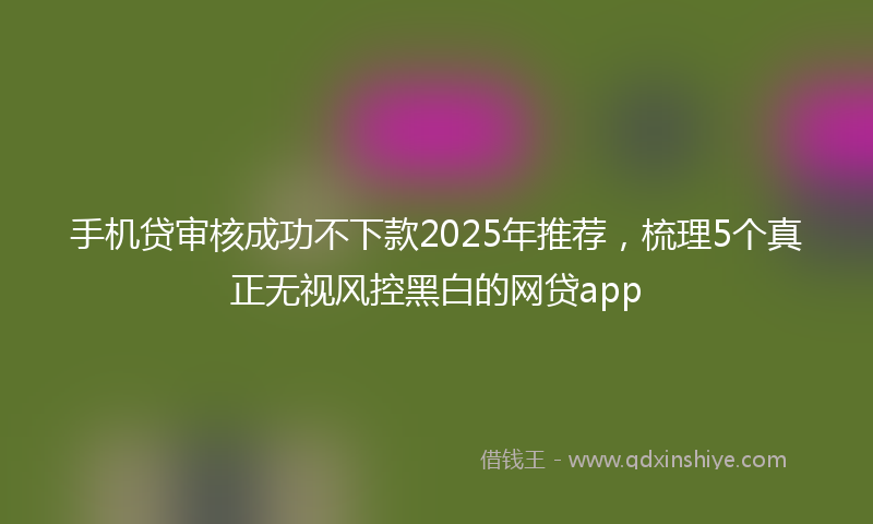 手机贷审核成功不下款2025年推荐，梳理5个真正无视风控黑白的网贷app