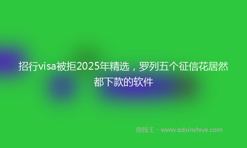招行visa被拒2025年精选，罗列五个征信花居然都下款的软件