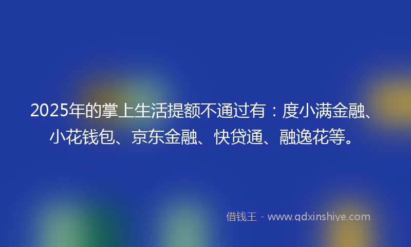 2025年的掌上生活提额不通过有：度小满金融、小花钱包、京东金融、快贷通、融逸花等。