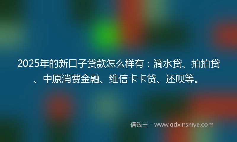 2025年的新口子贷款怎么样有：滴水贷、拍拍贷、中原消费金融、维信卡卡贷、还呗等。