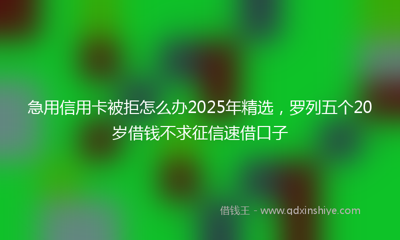 急用信用卡被拒怎么办2025年精选，罗列五个20岁借钱不求征信速借口子