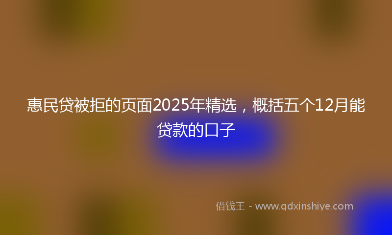 惠民贷被拒的页面2025年精选，概括五个12月能贷款的口子