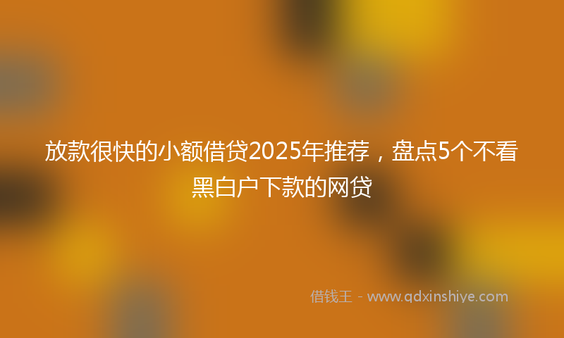 放款很快的小额借贷2025年推荐，盘点5个不看黑白户下款的网贷