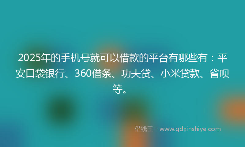 2025年的手机号就可以借款的平台有哪些有：平安口袋银行、360借条、功夫贷、小米贷款、省呗等。