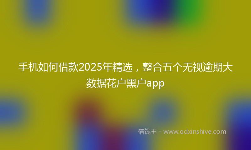 手机如何借款2025年精选，整合五个无视逾期大数据花户黑户app