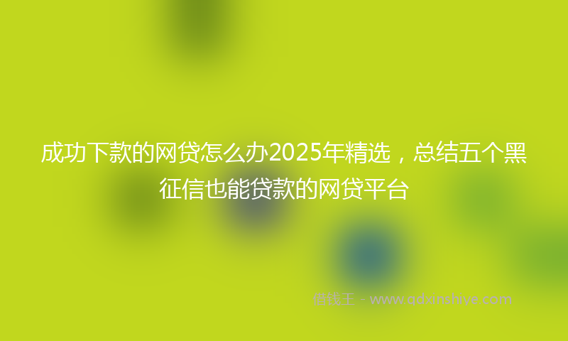 成功下款的网贷怎么办2025年精选，总结五个黑征信也能贷款的网贷平台