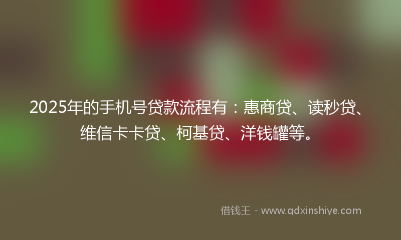2025年的手机号贷款流程有：惠商贷、读秒贷、维信卡卡贷、柯基贷、洋钱罐等。