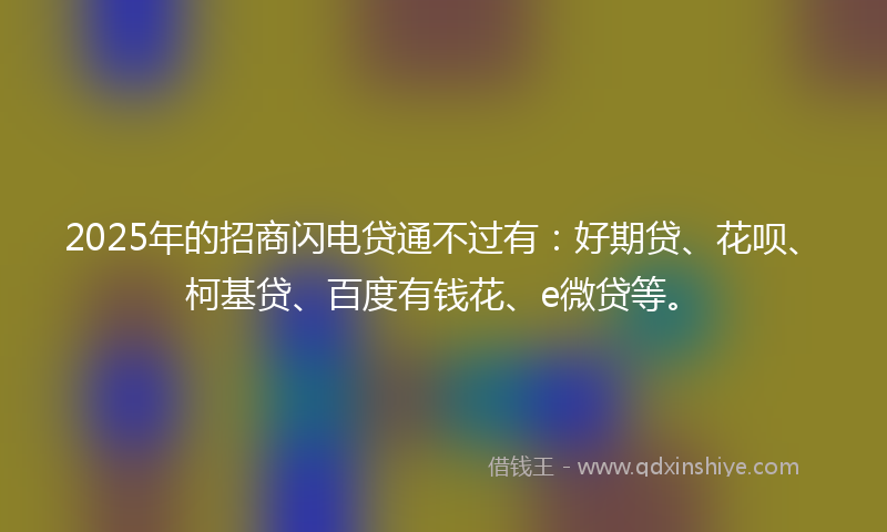 2025年的招商闪电贷通不过有：好期贷、花呗、柯基贷、百度有钱花、e微贷等。