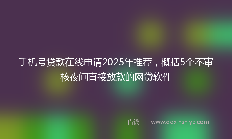 手机号贷款在线申请2025年推荐，概括5个不审核夜间直接放款的网贷软件