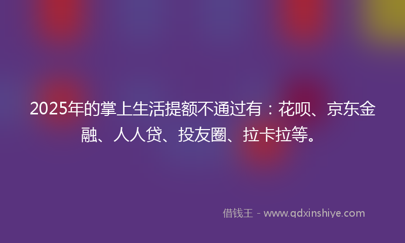 2025年的掌上生活提额不通过有：花呗、京东金融、人人贷、投友圈、拉卡拉等。