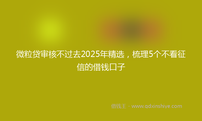 微粒贷审核不过去2025年精选，梳理5个不看征信的借钱口子