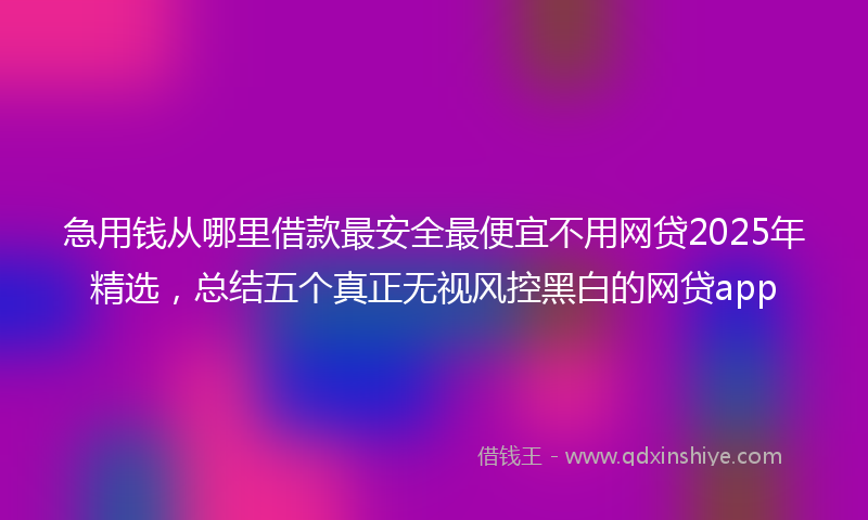 急用钱从哪里借款最安全最便宜不用网贷2025年精选，总结五个真正无视风控黑白的网贷app