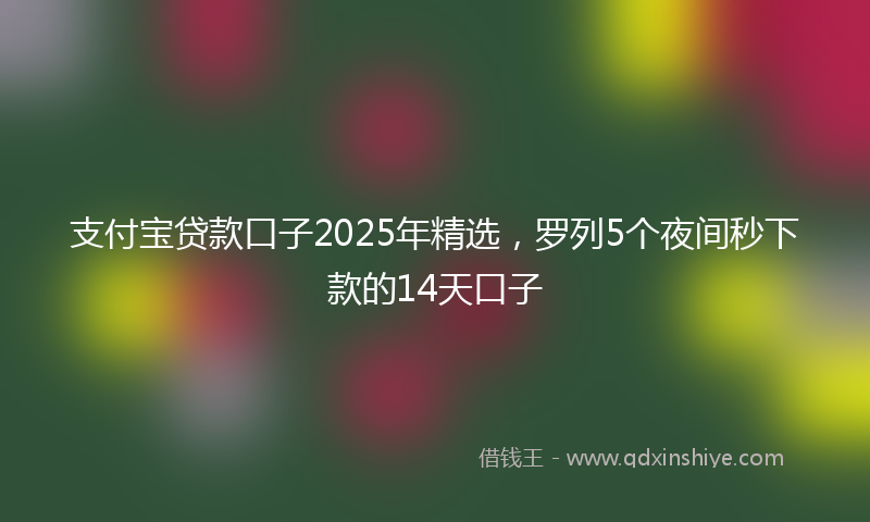 支付宝贷款口子2025年精选，罗列5个夜间秒下款的14天口子