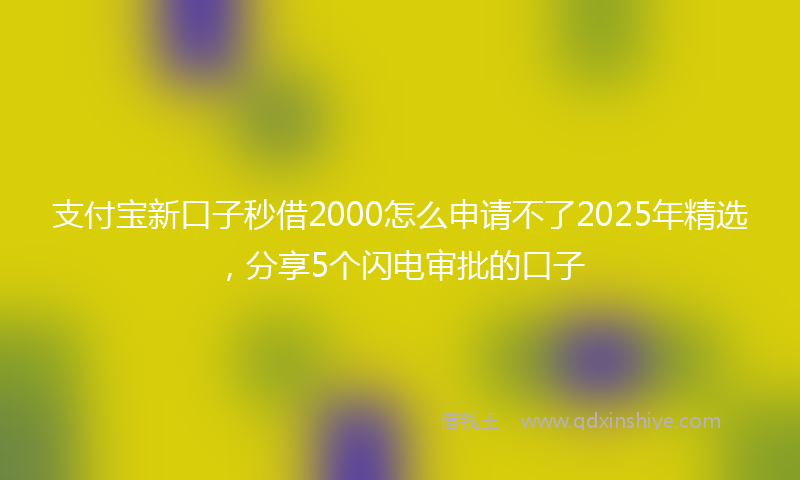 支付宝新口子秒借2000怎么申请不了2025年精选，分享5个闪电审批的口子
