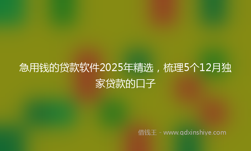 急用钱的贷款软件2025年精选，梳理5个12月独家贷款的口子