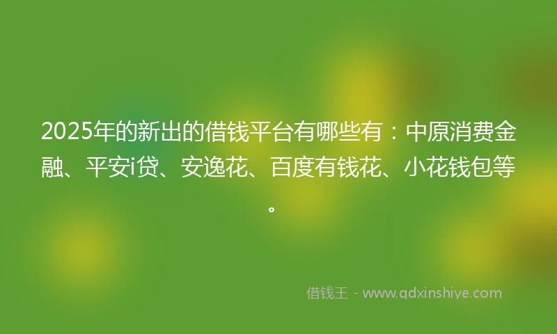 2025年的新出的借钱平台有哪些有：中原消费金融、平安i贷、安逸花、百度有钱花、小花钱包等。