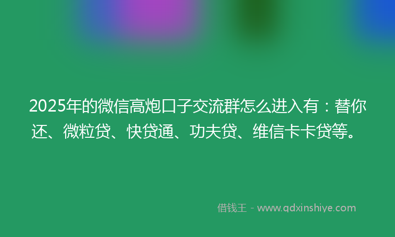 2025年的微信高炮口子交流群怎么进入有：替你还、微粒贷、快贷通、功夫贷、维信卡卡贷等。