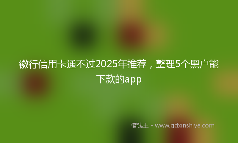 徽行信用卡通不过2025年推荐，整理5个黑户能下款的app