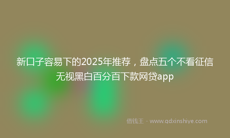 新口子容易下的2025年推荐，盘点五个不看征信无视黑白百分百下款网贷app