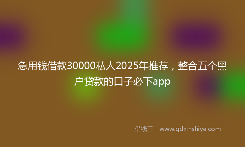 急用钱借款30000私人2025年推荐，整合五个黑户贷款的口子必下app
