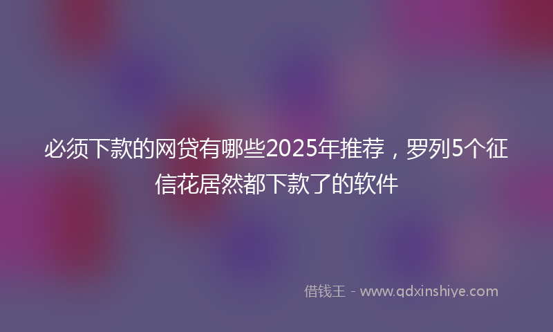 必须下款的网贷有哪些2025年推荐，罗列5个征信花居然都下款了的软件