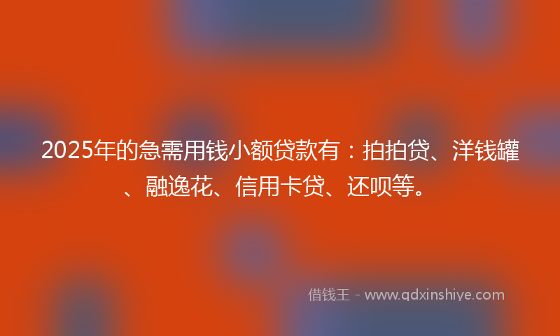 2025年的急需用钱小额贷款有：拍拍贷、洋钱罐、融逸花、信用卡贷、还呗等。