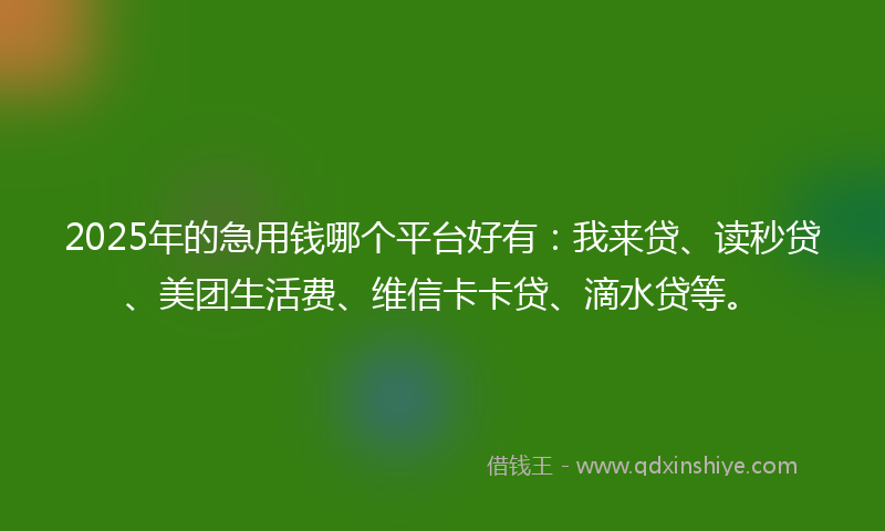2025年的急用钱哪个平台好有：我来贷、读秒贷、美团生活费、维信卡卡贷、滴水贷等。