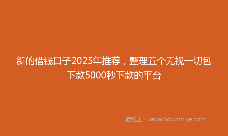 新的借钱口子2025年推荐，整理五个无视一切包下款5000秒下款的平台