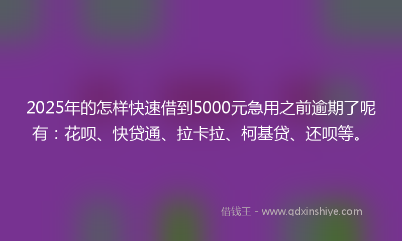 2025年的怎样快速借到5000元急用之前逾期了呢有：花呗、快贷通、拉卡拉、柯基贷、还呗等。