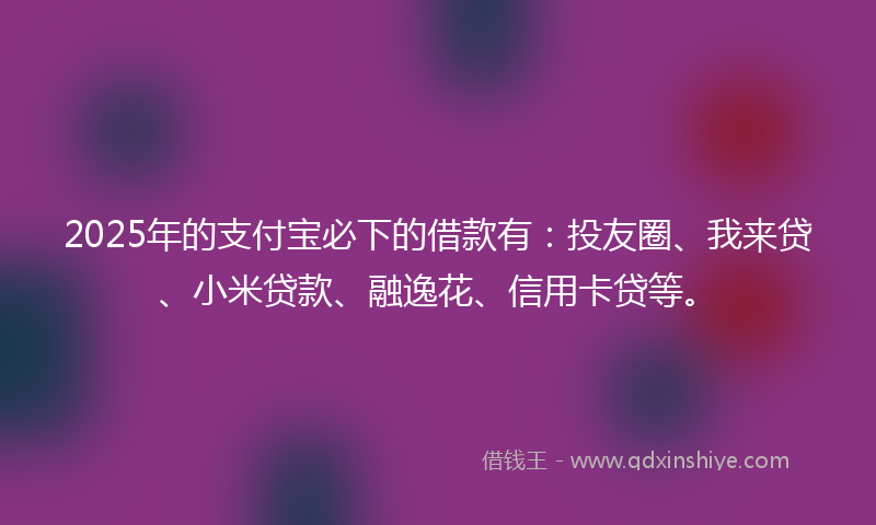 2025年的支付宝必下的借款有：投友圈、我来贷、小米贷款、融逸花、信用卡贷等。